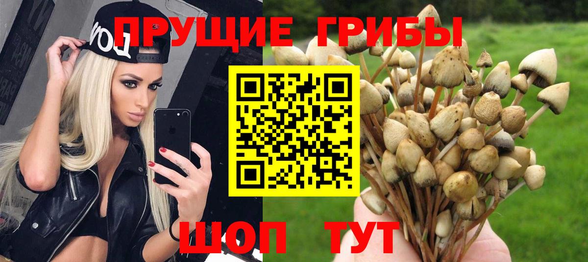 Псилоцибиновые грибы Magic Shrooms Гусев