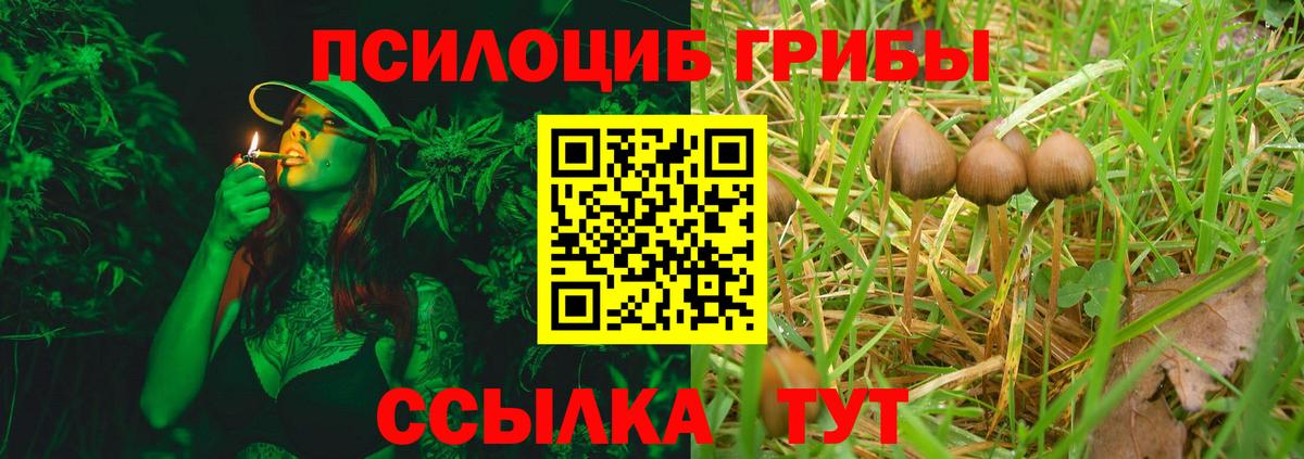 Вейп ТГК Гусев