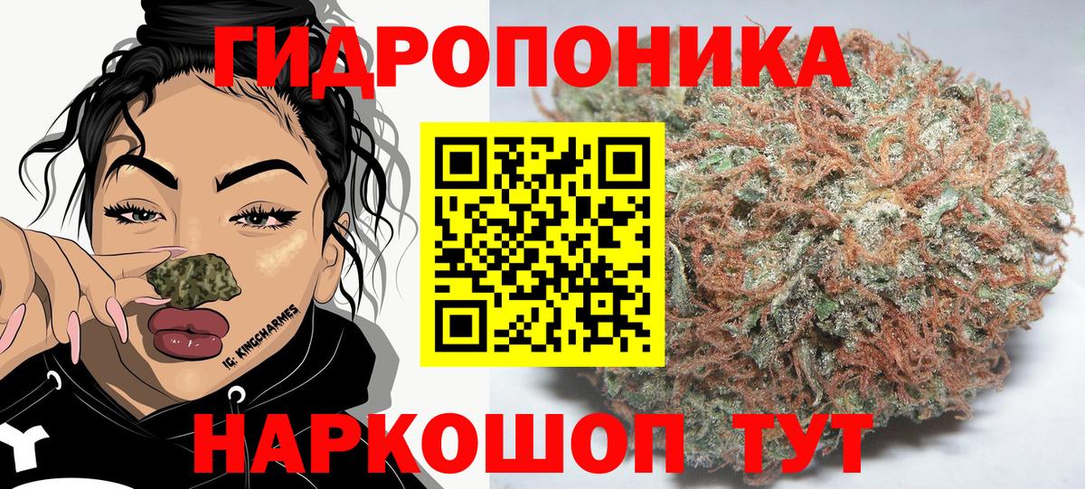 Гусев  Конопля планчик  Шишки марихуана MAZAR  Вход с VPN  Шишки марихуана план 